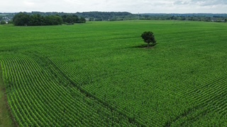 Crego Farm — photo 2