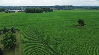 Crego Farm — photo 3