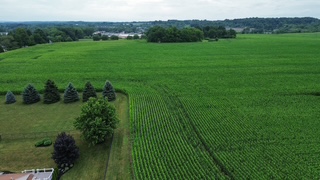Crego Farm — photo 4