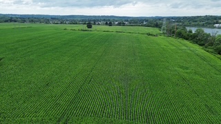 Crego Farm — photo 5