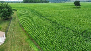 Crego Farm — photo 6