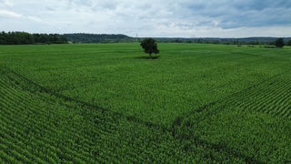 Crego Farm — photo 7