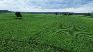 Crego Farm — photo 8